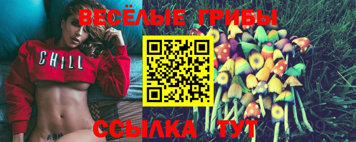 Псилоцибиновые грибы GOLDEN TEACHER  Вход с VPN  купить  цена  Тосно 